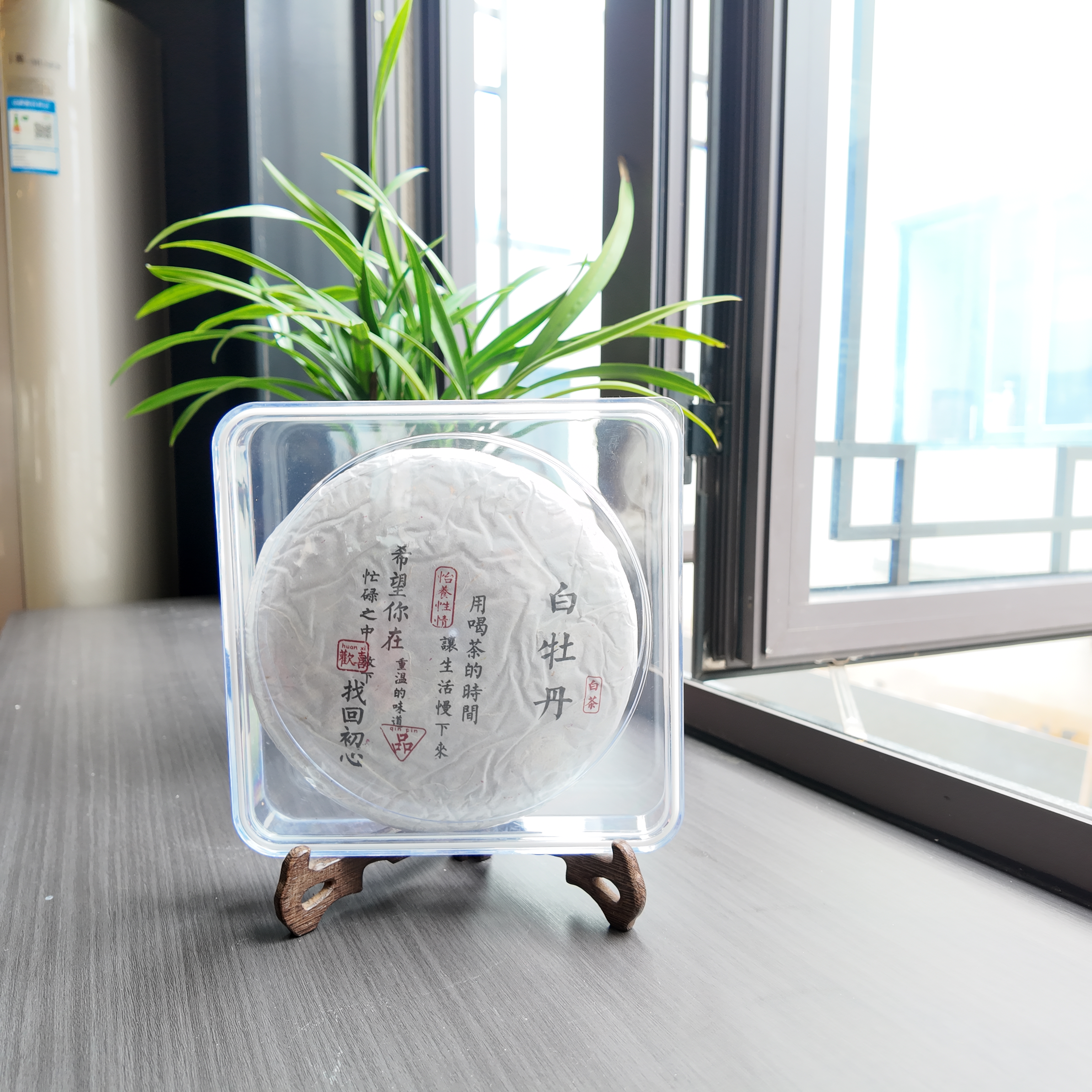 白茶